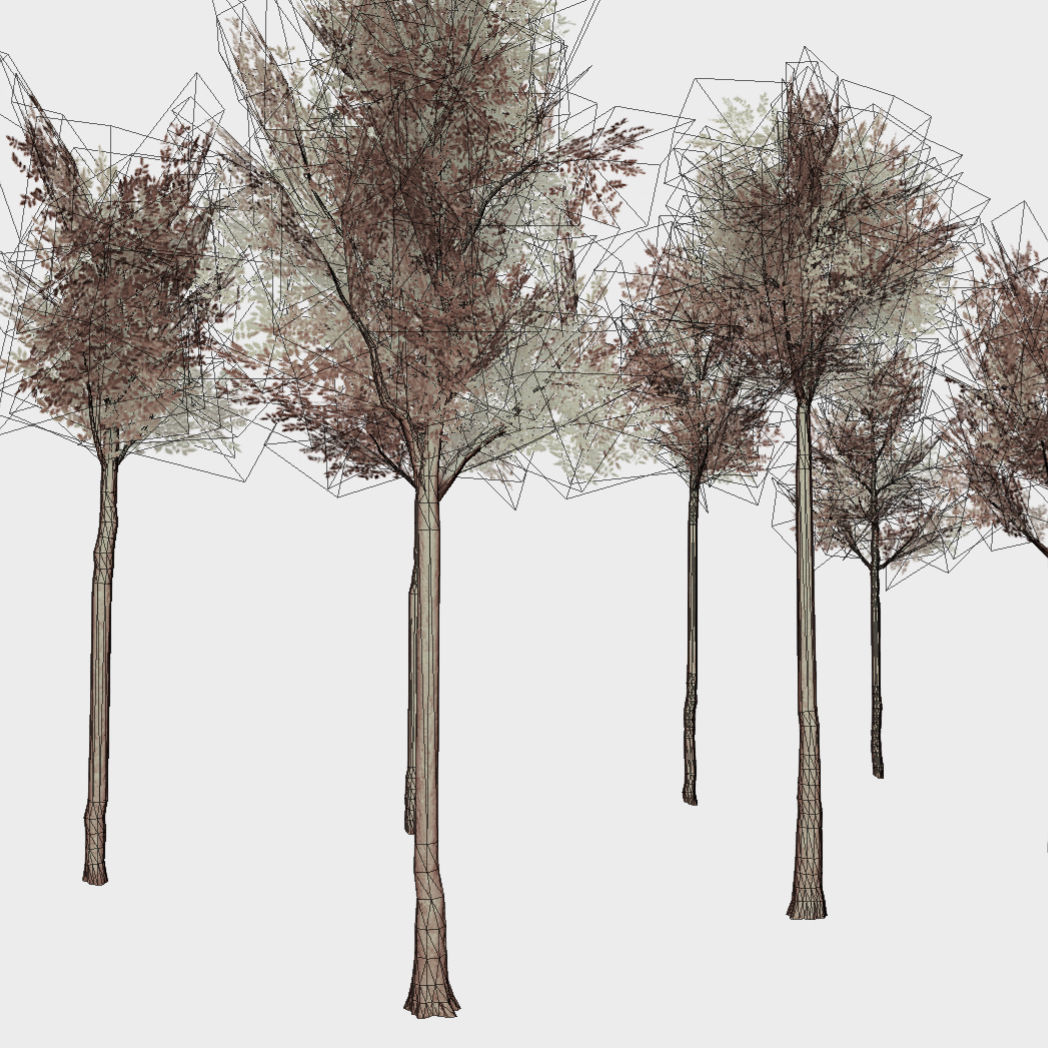 Collection of 10 Silver Birch Trees Low-poly 3D model_4