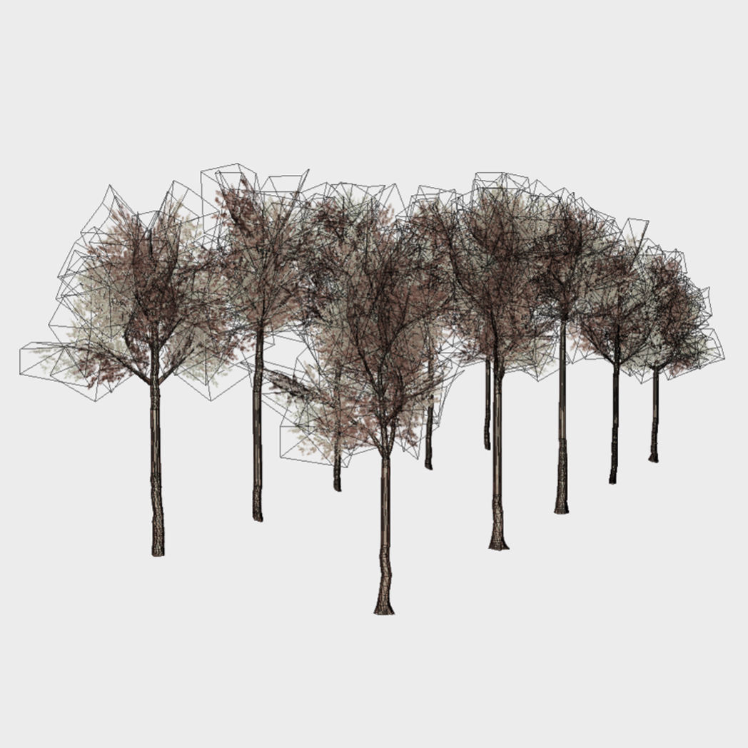 Collection of 10 Silver Birch Trees Low-poly 3D model_3
