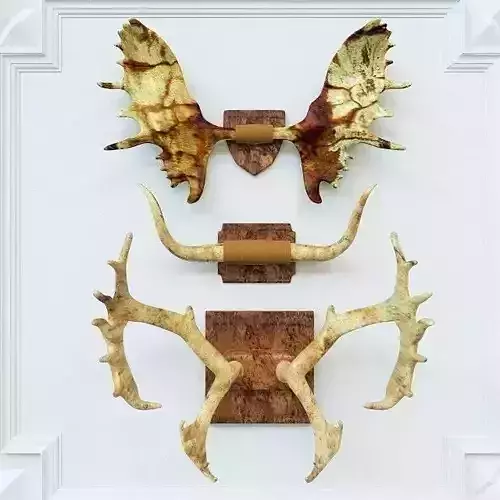 Horns deer antler wall art