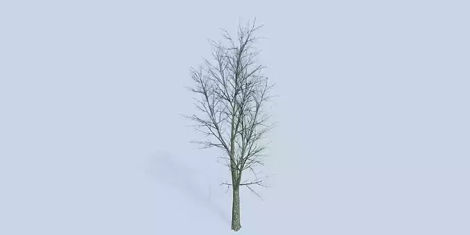 Lowpoly 3Dmodel tree VR AR game 3LOD number31 Low-poly 3D model