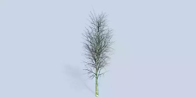 Lowpoly 3Dmodel tree VR AR game 3LOD number32
