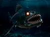 3D model Monster Fish VR / AR / low-poly | CGTrader