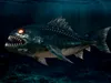 3D model Monster Fish VR / AR / low-poly | CGTrader