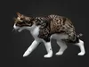 Cat Curious Pose 3D Model Wildlife Game Asset free 3D model | CGTrader