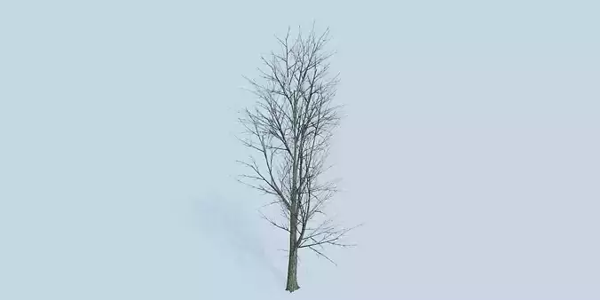 Lowpoly 3Dmodel tree VR AR game 3LOD number33