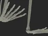 Marmoset Monkey Skeleton 3D model | CGTrader