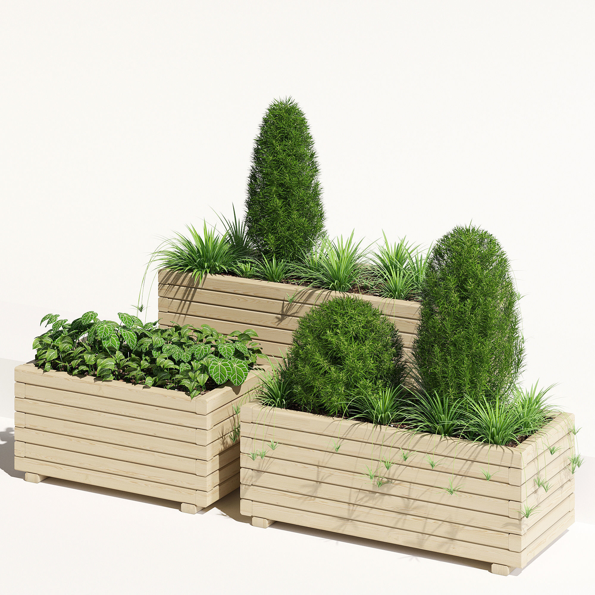 Pine planter 2 3D model_1