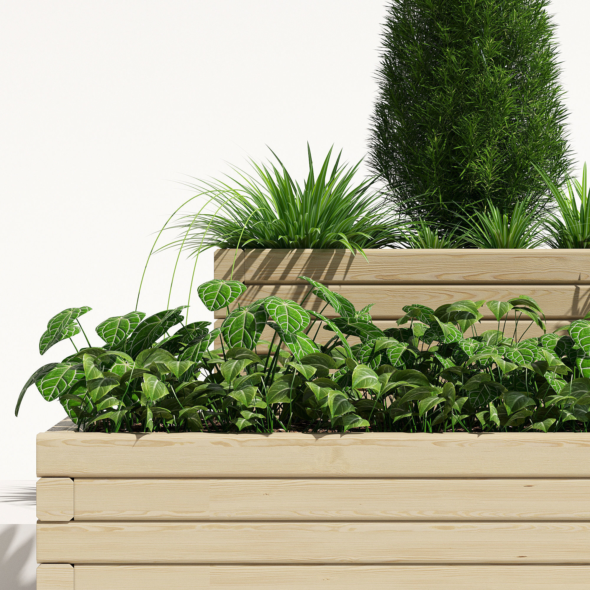 Pine planter 2 3D model_4