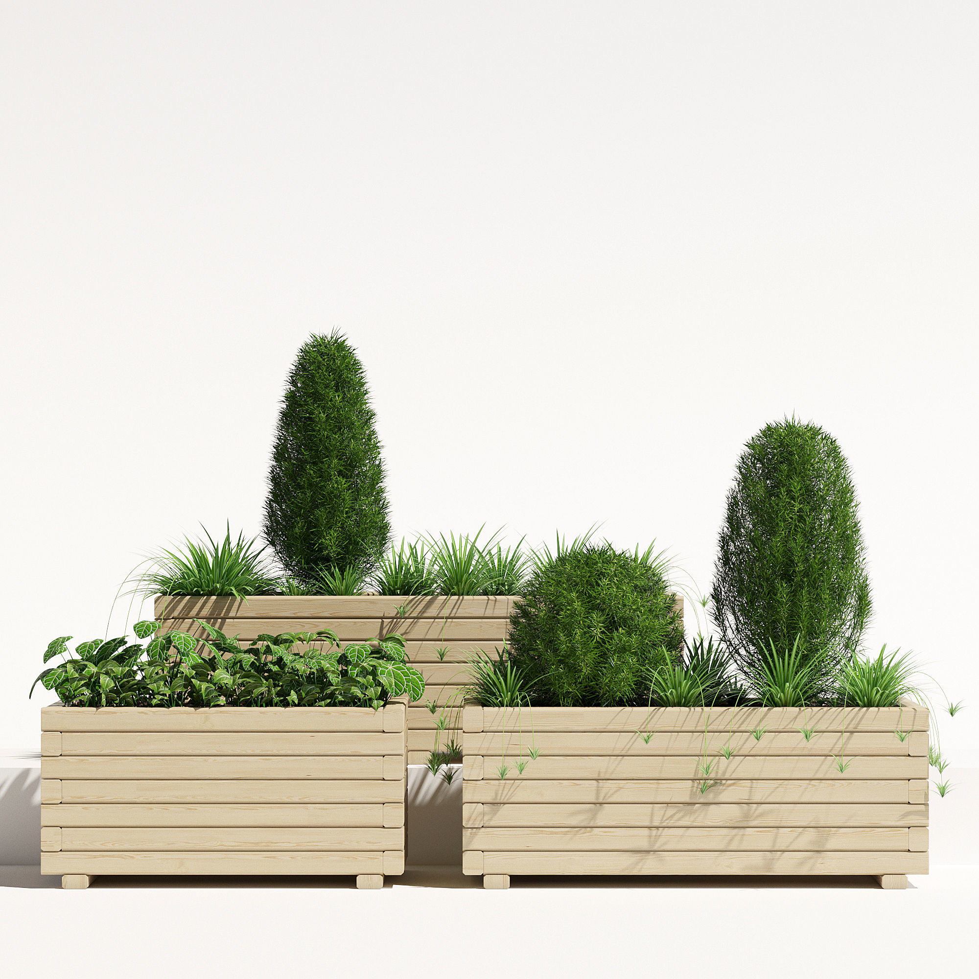 Pine planter 2 3D model_2