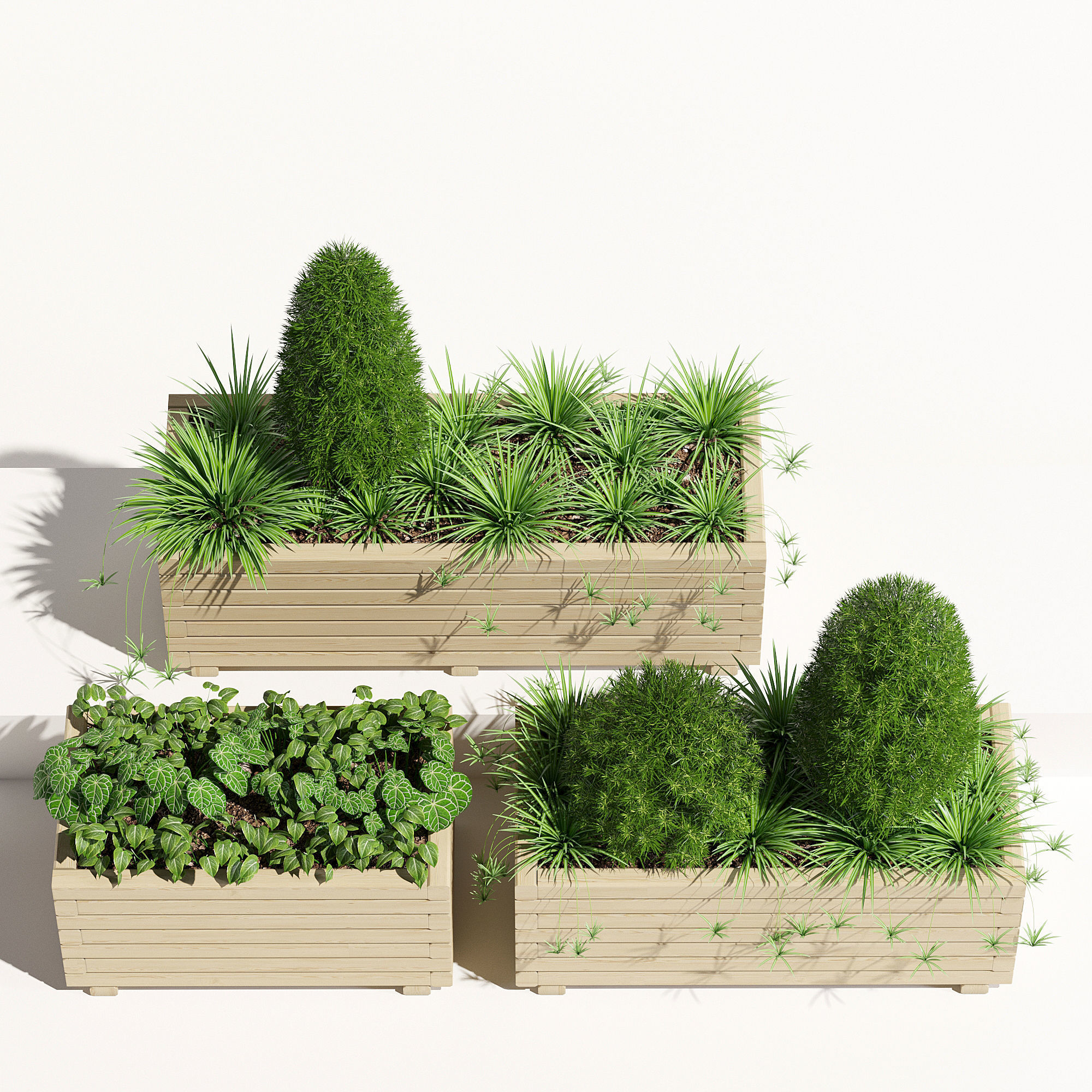 Pine planter 2 3D model_5