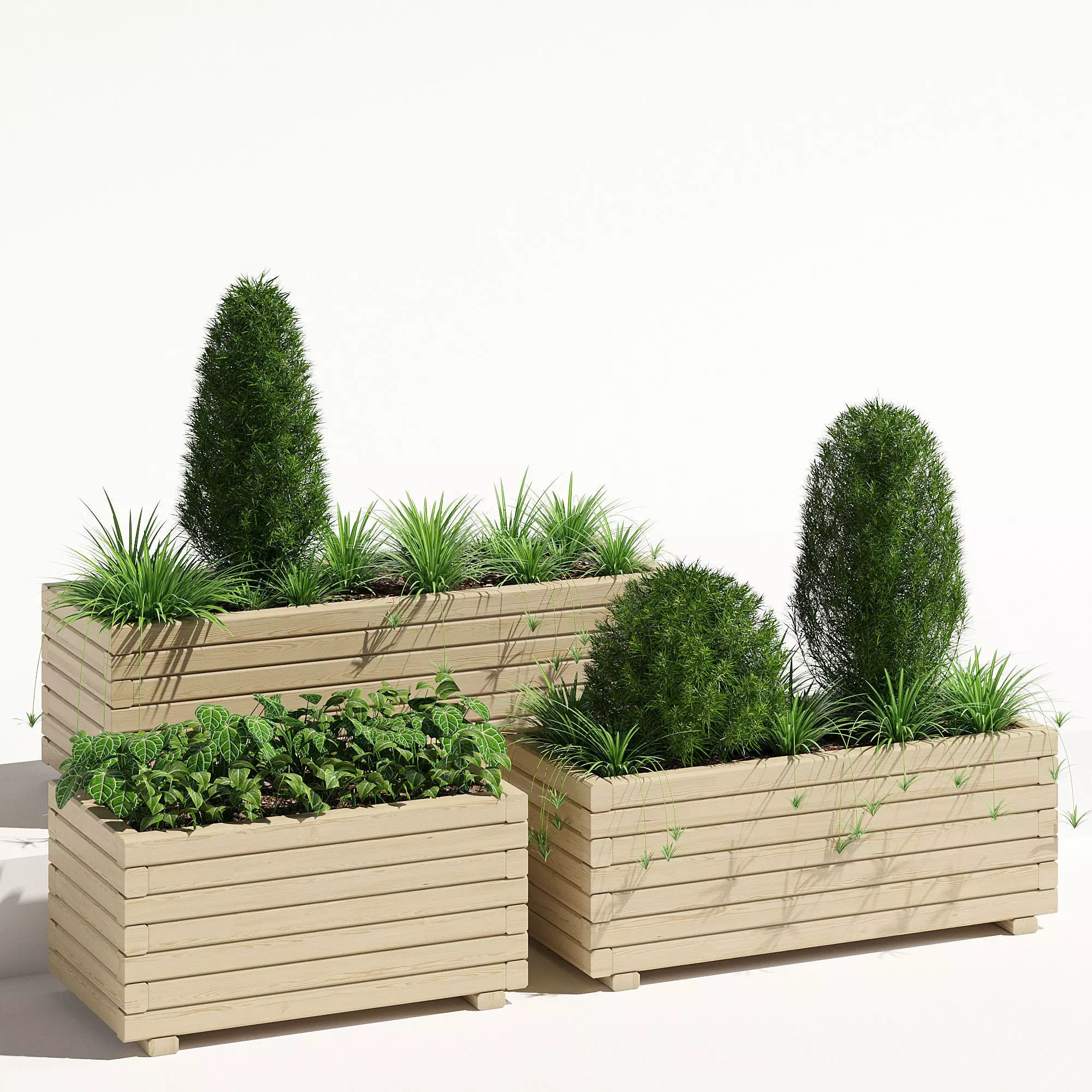 Pine planter 2 3D model_0