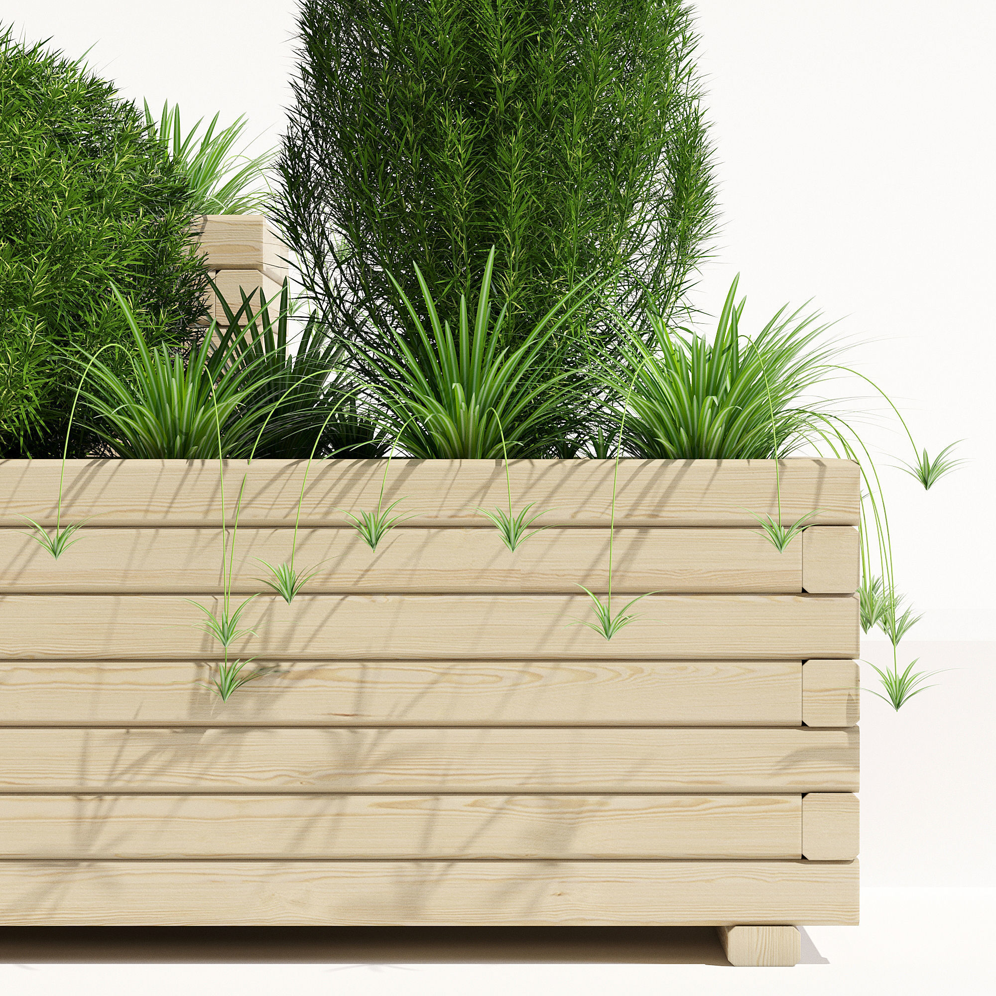 Pine planter 2 3D model_3