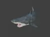 Realistic Great White Shark 3D Model - Marine Animal 3D model | CGTrader