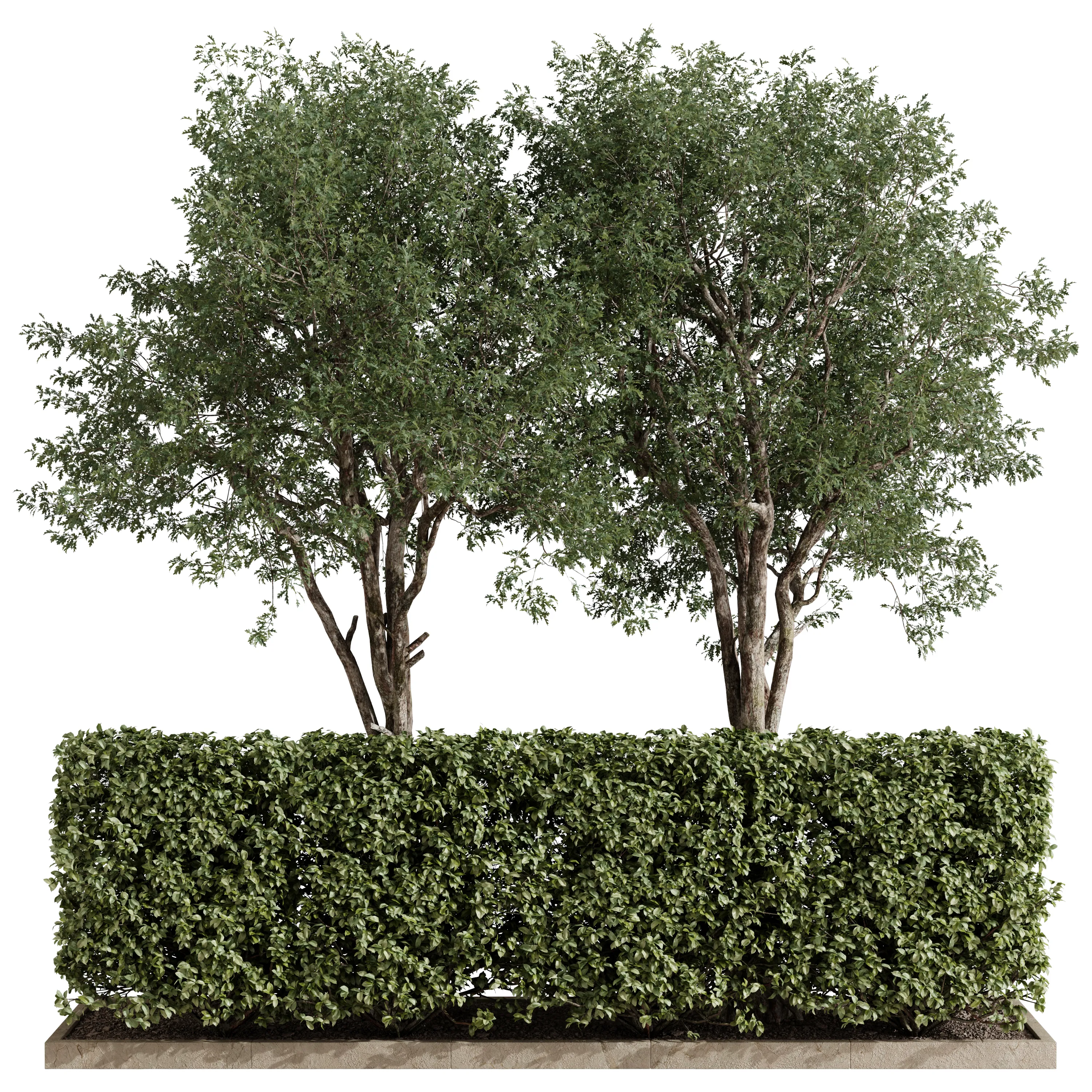 Linear Hedge Garden Set 3D model | CGTrader