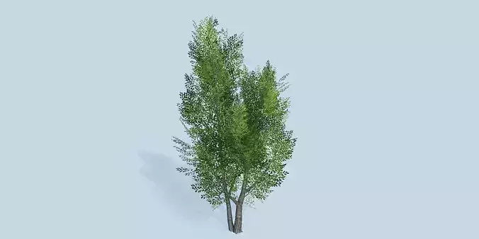 Lowpoly 3Dmodel tree VR AR game 3LOD number35