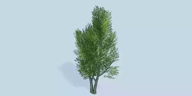 Lowpoly 3Dmodel tree VR AR game 3LOD number36