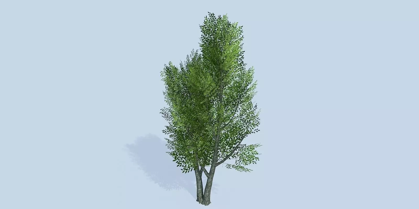 Lowpoly 3Dmodel tree VR AR game 3LOD number36 Low-poly 3D model_0