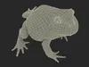 American Horned Frog 3D model | CGTrader