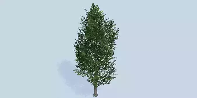Lowpoly 3Dmodel tree VR AR game 3LOD number38
