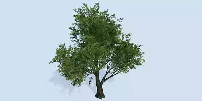 Lowpoly 3Dmodel tree VR AR game 3LOD number39