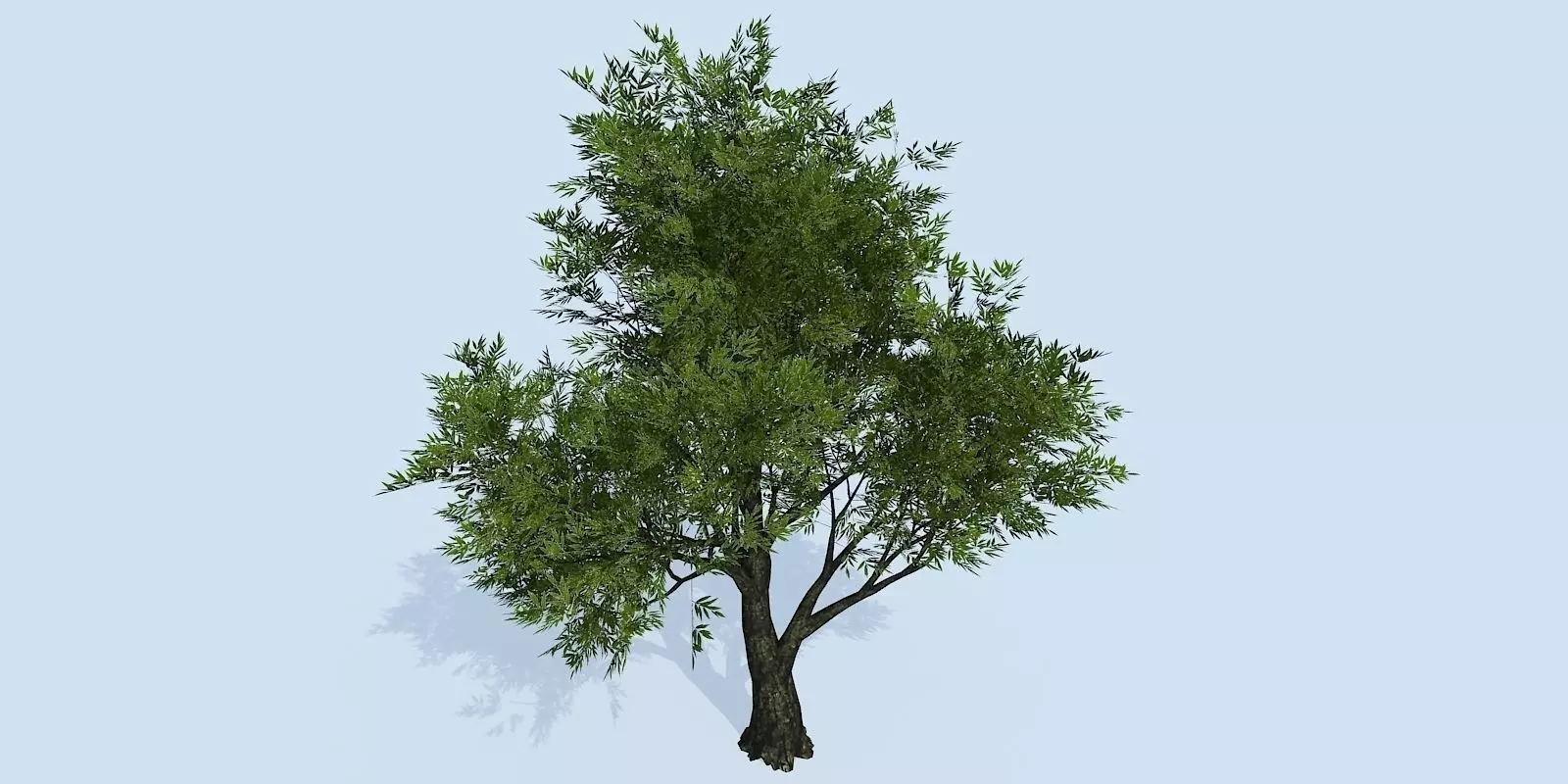 Lowpoly 3Dmodel tree VR AR game 3LOD number39 Low-poly 3D model_0