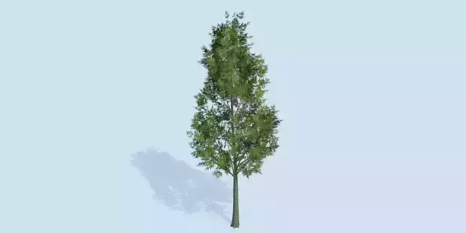 Lowpoly 3Dmodel tree VR AR game 3LOD number40