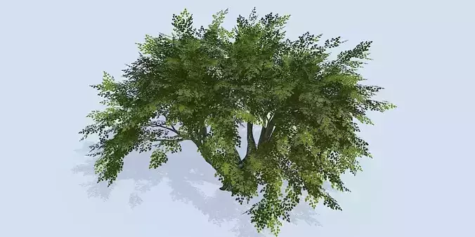 Lowpoly 3Dmodel tree VR AR game 3LOD number41