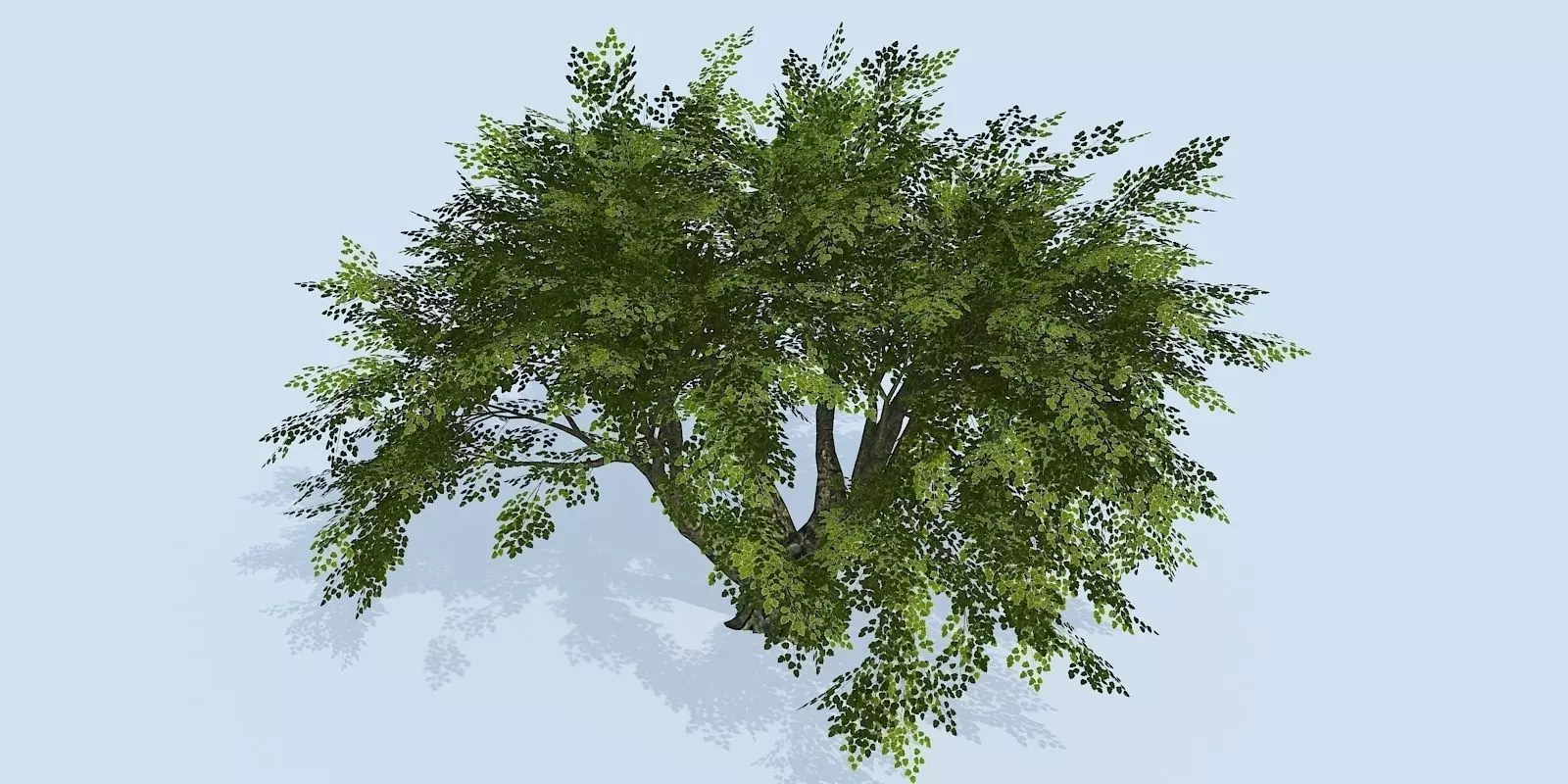 Lowpoly 3Dmodel tree VR AR game 3LOD number41 Low-poly 3D model_0