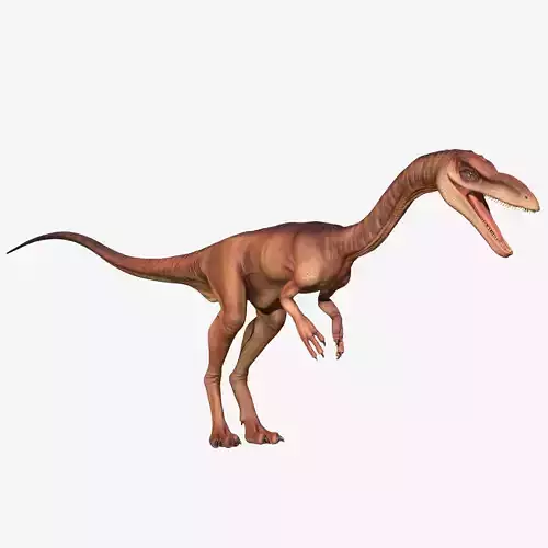 Coelophysis dinosaur