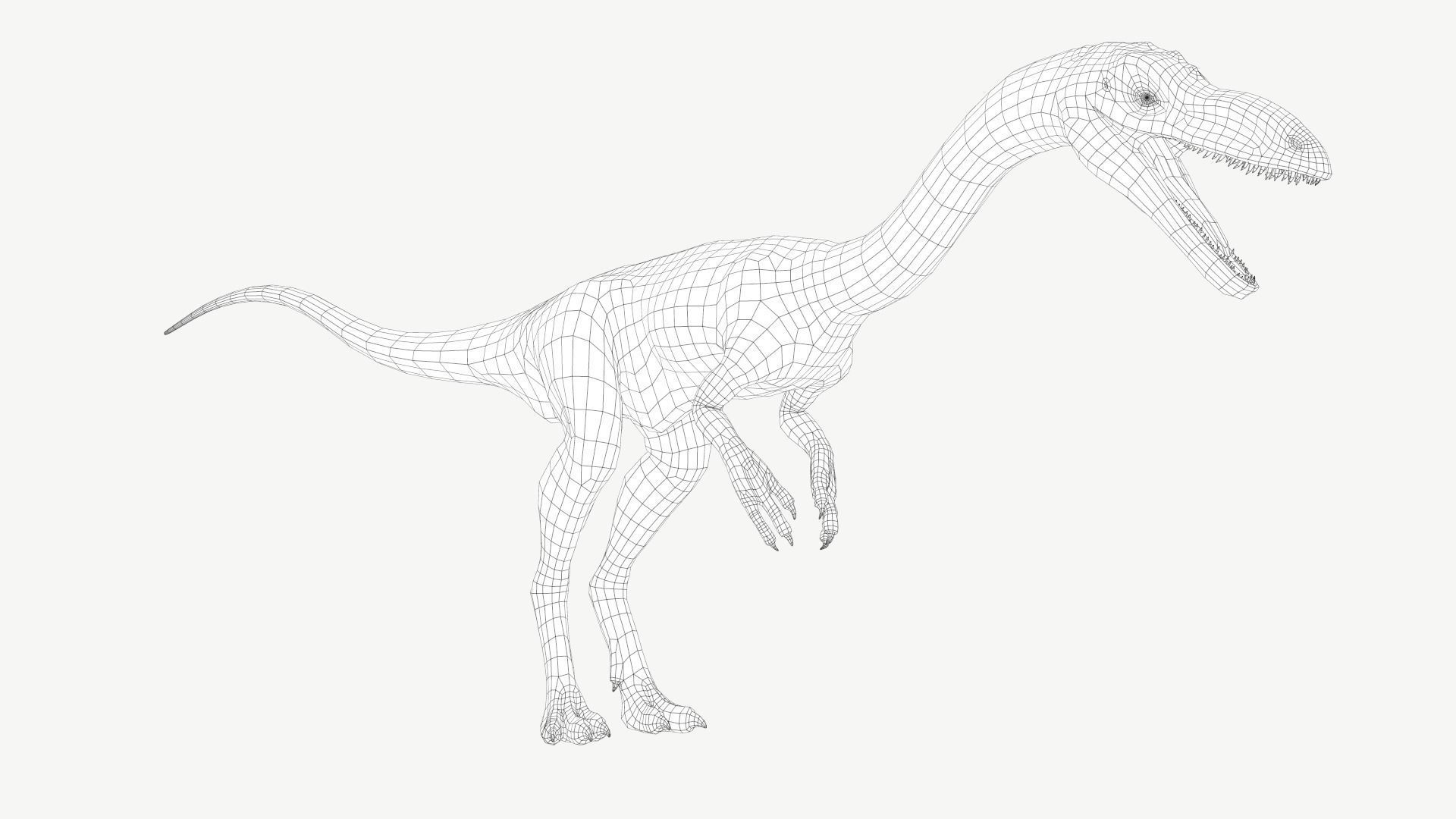 Coelophysis dinosaur Low-poly 3D model_2