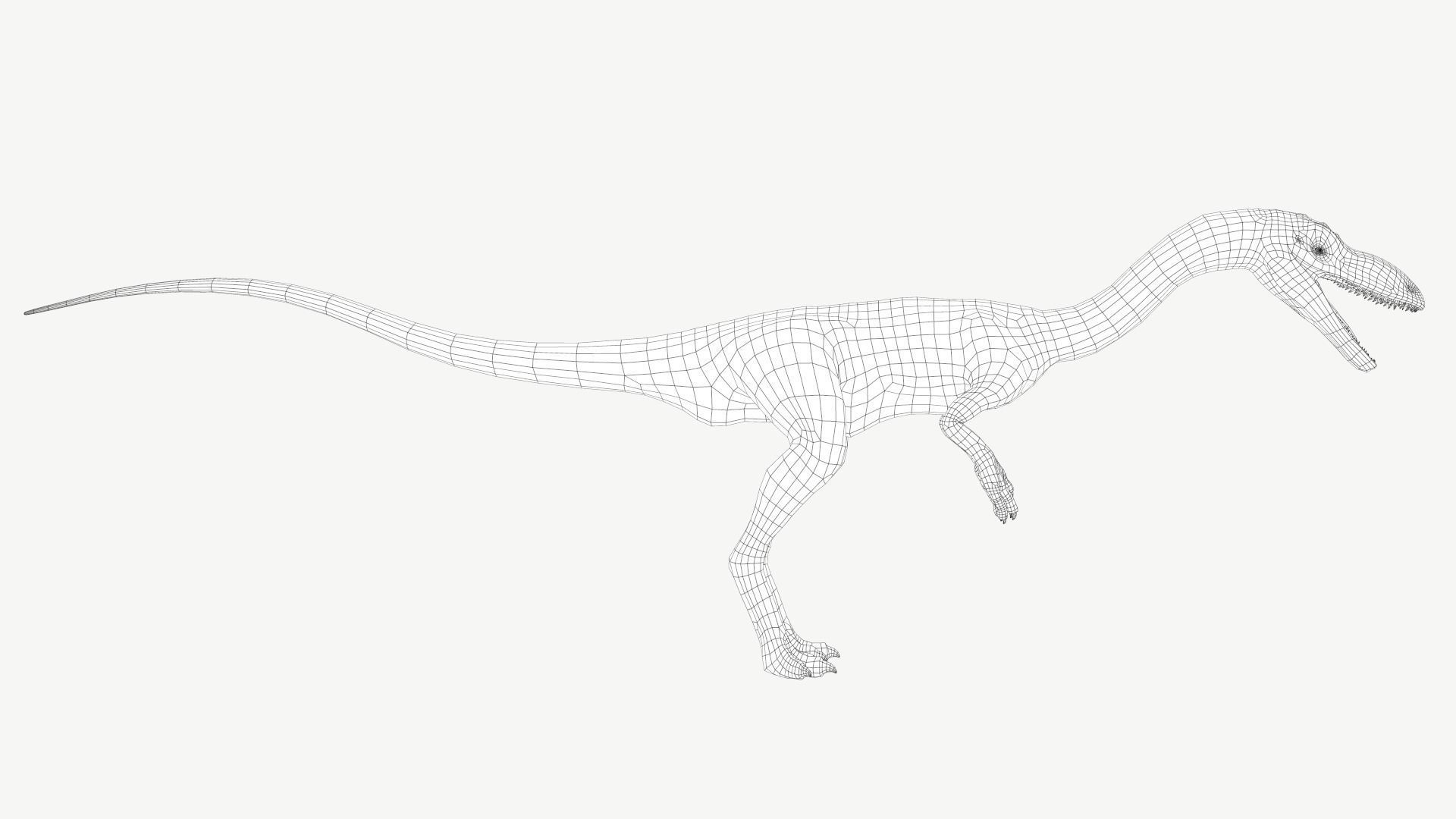 Coelophysis dinosaur Low-poly 3D model_4