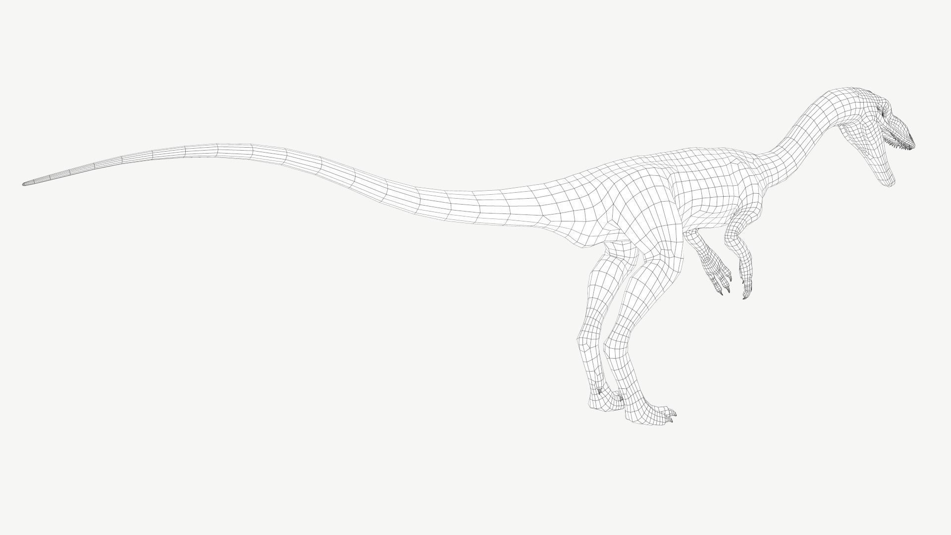 Coelophysis dinosaur Low-poly 3D model_6