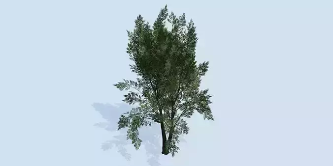 Lowpoly 3Dmodel tree VR AR game 3LOD number42