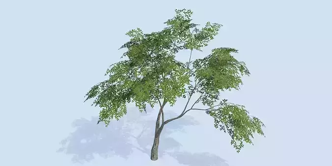 Lowpoly 3Dmodel tree VR AR game 3LOD number43 Low-poly 3D model