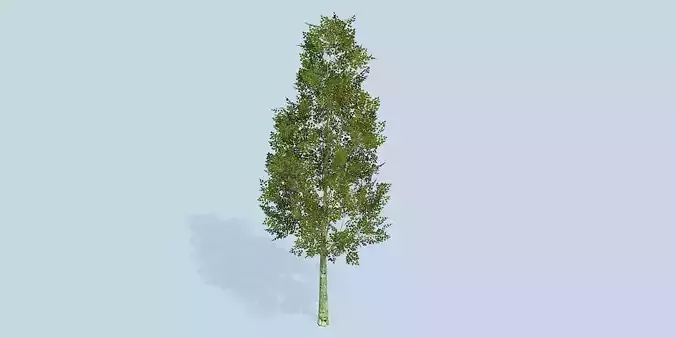 Lowpoly 3Dmodel tree VR AR game 3LOD number45