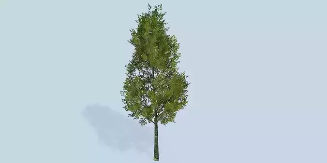Lowpoly 3Dmodel tree VR AR game 3LOD number46