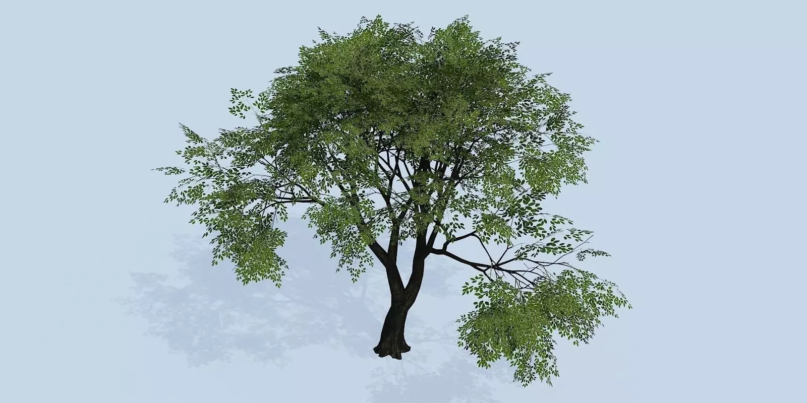 Lowpoly 3Dmodel tree VR AR game 3LOD number49 Low-poly 3D model_0
