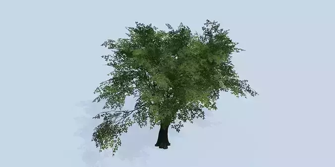Lowpoly 3Dmodel tree VR AR game 3LOD number50