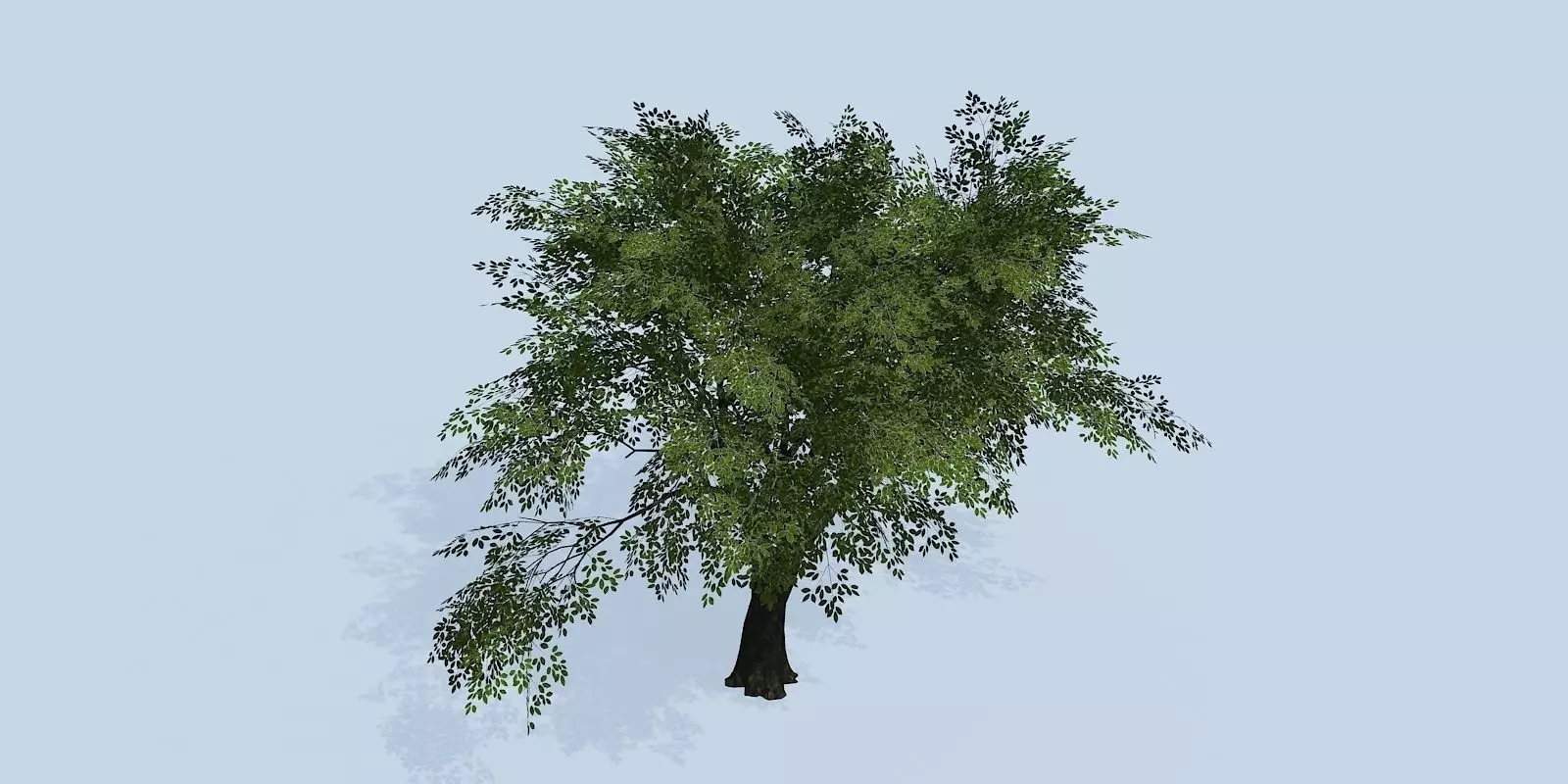 Lowpoly 3Dmodel tree VR AR game 3LOD number50 Low-poly 3D model_0