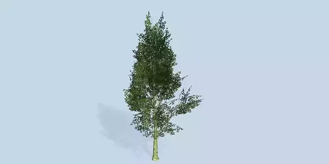 Lowpoly 3Dmodel tree VR AR game 3LOD number51 Low-poly 3D model