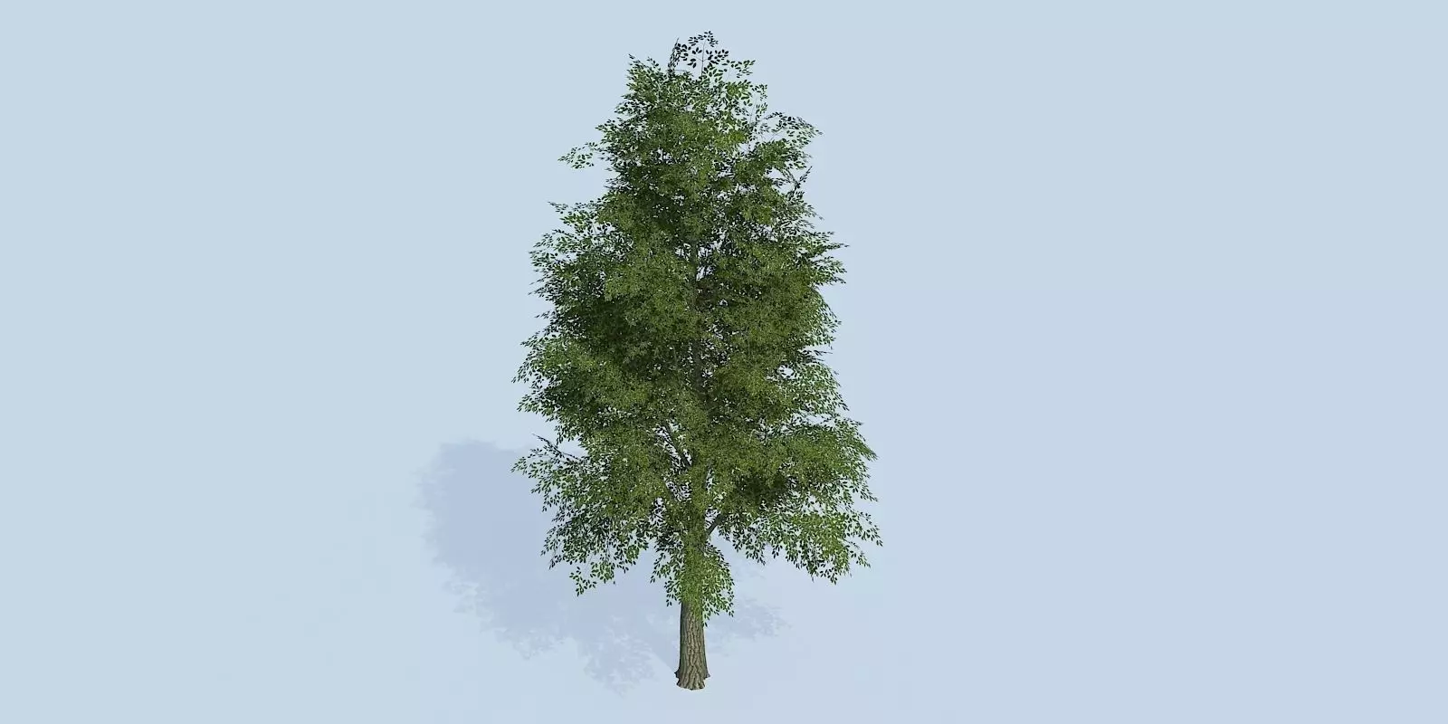 Lowpoly 3Dmodel tree VR AR game 3LOD number52 Low-poly 3D model_0