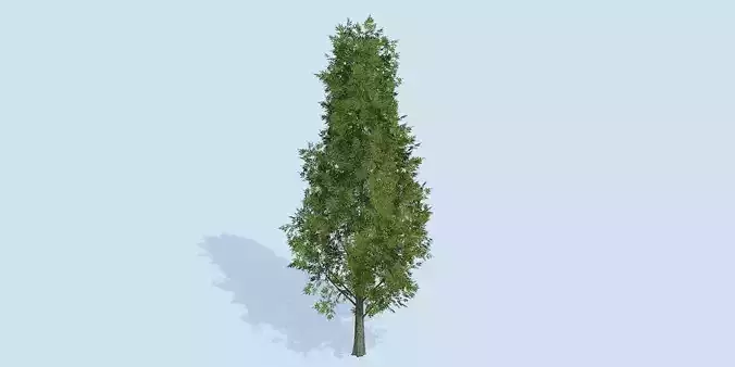 Lowpoly 3Dmodel tree VR AR game 3LOD number56