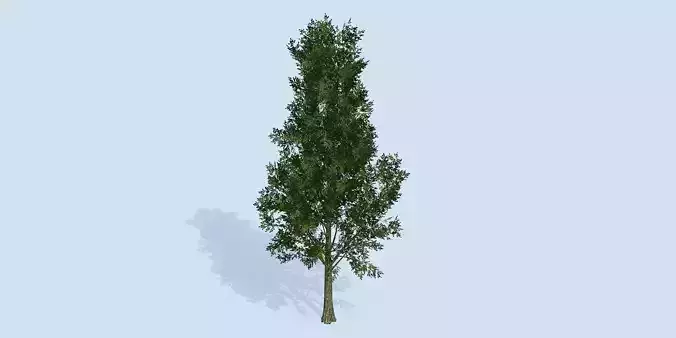 Lowpoly 3Dmodel tree VR AR game 3LOD number57 Low-poly 3D model