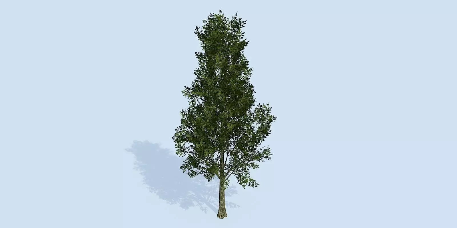 Lowpoly 3Dmodel tree VR AR game 3LOD number57 Low-poly 3D model_0