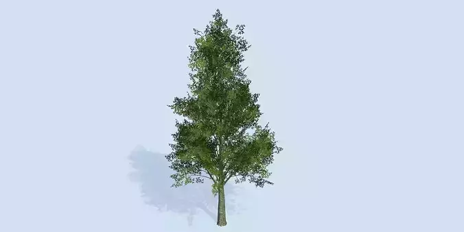 Lowpoly 3Dmodel tree VR AR game 3LOD number60