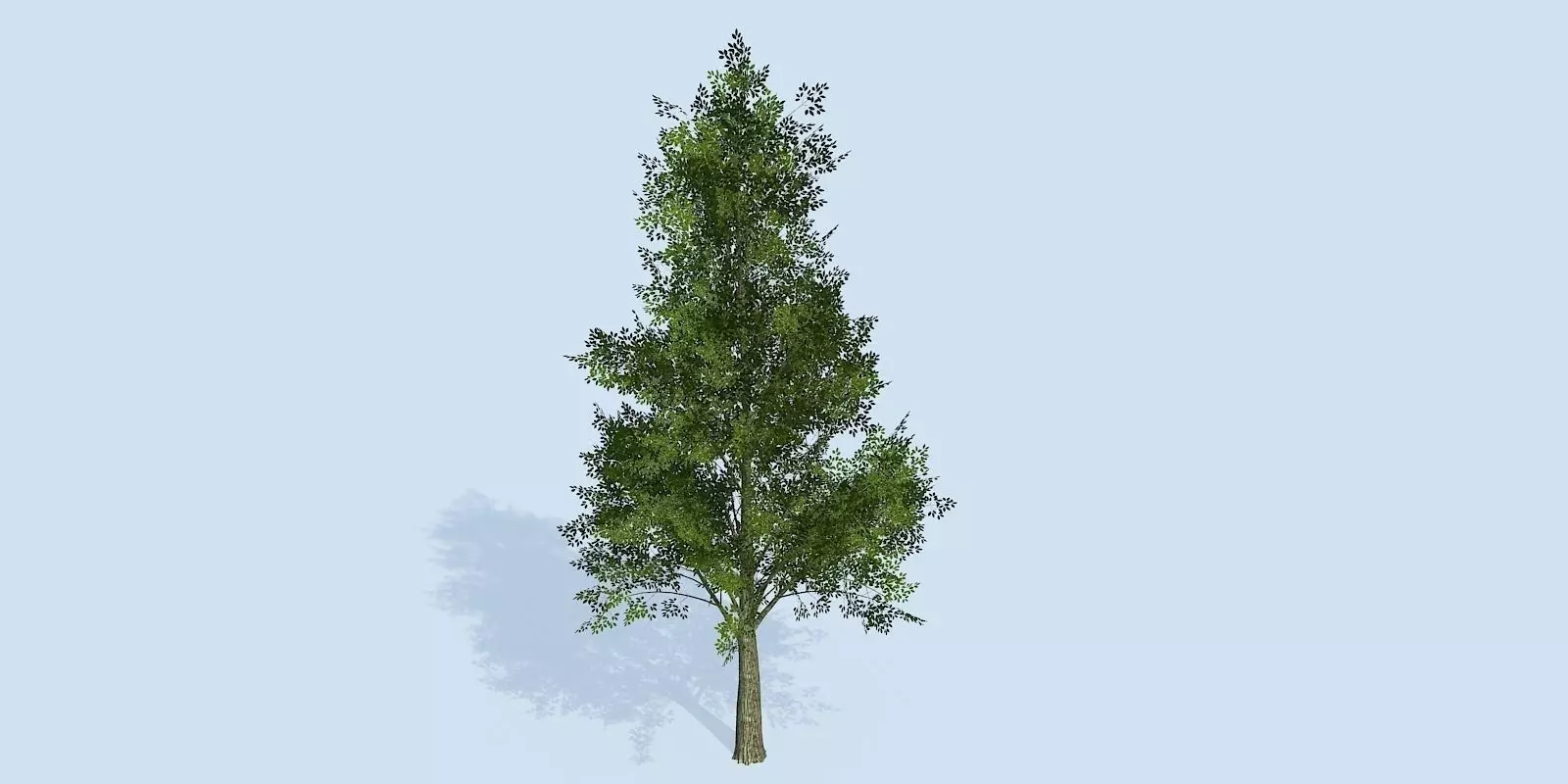 Lowpoly 3Dmodel tree VR AR game 3LOD number60 Low-poly 3D model_0