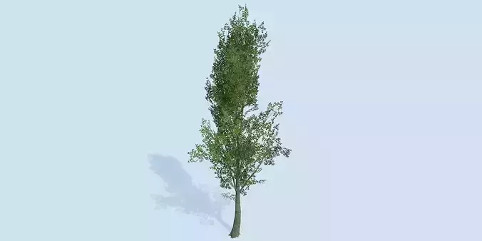 Lowpoly 3Dmodel tree VR AR game 3LOD number62