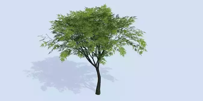 Lowpoly 3Dmodel tree VR AR game 3LOD number64
