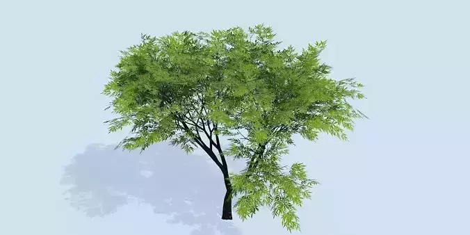 Lowpoly 3Dmodel tree VR AR game 3LOD number65