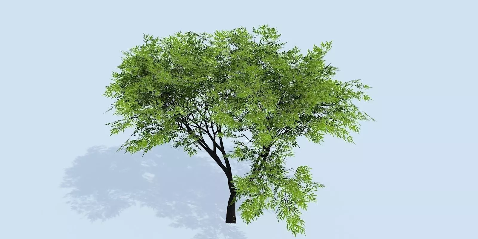 Lowpoly 3Dmodel tree VR AR game 3LOD number65 Low-poly 3D model_0